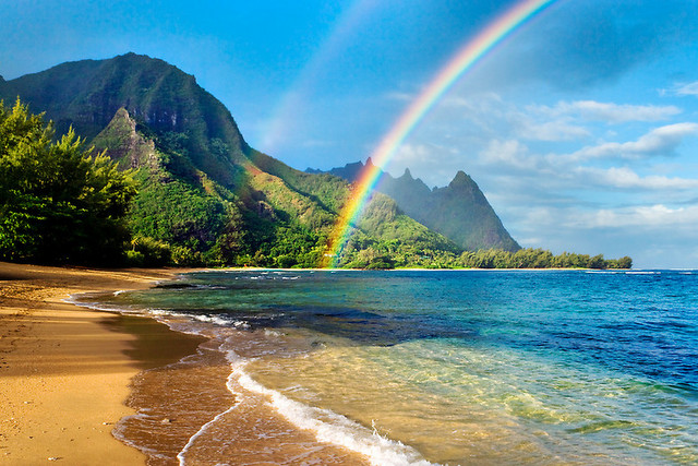 Win a trip to Hawaii !